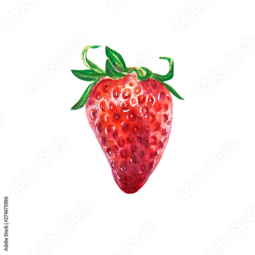 Watercolor sinle bright red juicy strawberry. Food background, painted bright...
