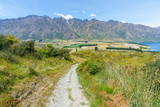 Fototapeta Na ścianę - hiking jacks point track, view of the remarkables, queenstown, new zealand 5