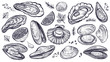 Shellfish seafood, vector hand drawn set. Oysters, mussels, scallop and other.