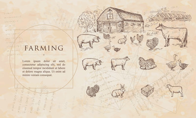 Wall Mural - Farming. Cows, geese, chickens, pigs, turkey, farm house. Renaissance background. Medieval manuscript, engraving art