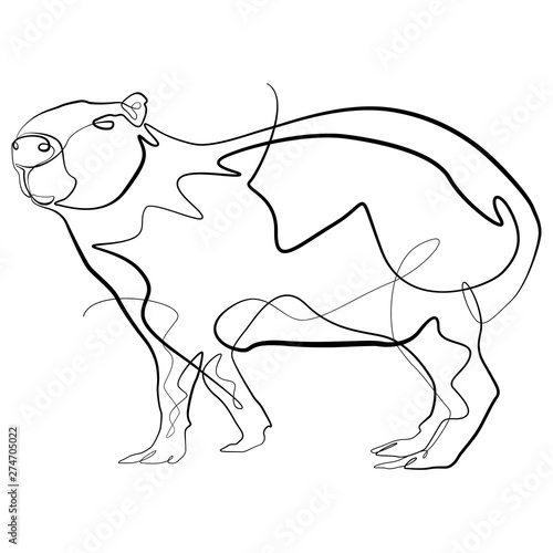 Capybara One Line Drawing Continuous Line Animal Vector Art Buy This Stock Vector And Explore Similar Vectors At Adobe Stock Adobe Stock I've been drawing for many years, but i used to draw realism and some very intense artworks since i have bipolar. capybara one line drawing continuous