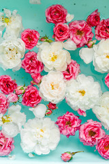  stunning floral texture of roses in water on blue background