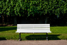 White Bench In The Summer Park, Sunny Day