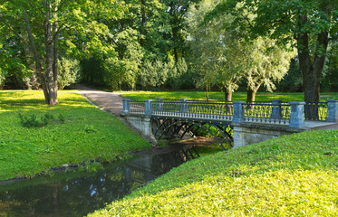 Overgrown river and bridge in a city park with shady alleys and walking paths in Tsarskoe Selo. Beautiful summer landscape with green lawns by the river. Natural background. Pushkin, St. Petersburg
