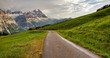 Swiss beauty, road between the meadows in Grindelwald valley, Bernese Oberland,Switzerland,Europe