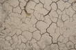 sécheresse terre matière aride sec changement climatique craquelure craquelé manque eau désert texture