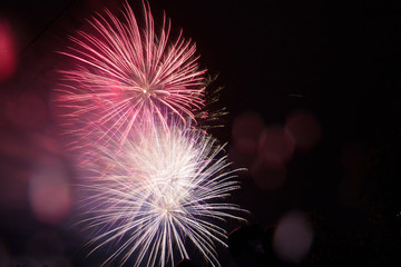 Bursting sky fireworks . Great holiday of a great country. The celebration of Independence Day in the United States of America. 4th of July.