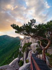 Sticker - Sunset on top of Ulsan mountain - Korea Seoraksan National Park