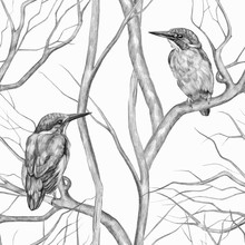 Vintage Seamless Pattern. Kingfisher Birds Sitting On Tree Branches. Pencil Drawing On A White Background. Beautiful Gentle Background. Sketch Style. For A Postcards, Wrapping Paper, Invitations, Etc.