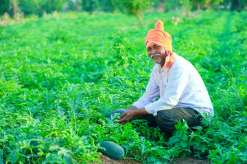 young indian farmer at field