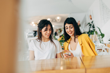 Wall Mural - Cheerful nice young businesswomen sitting in coworking together. Look at smartphone and working. Happy positive person in white room.