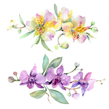 Orchid Bouquets Floral Botanical Flowers. Watercolor Background Illustration Set. Isolated Bouquet Illustration Element.