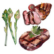 Grilled steak tasty food. Watercolor background illustration set. Isolated steak illustration element.