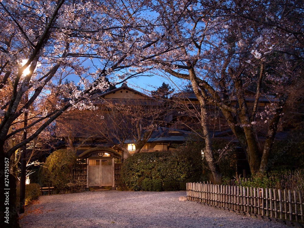 Beautiful Entrance to a Traditional Japanese House Lined with Cherry ...
