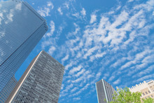 Low Angle View Of Skyscrapers With Trees Under Sunny Cloud Sky