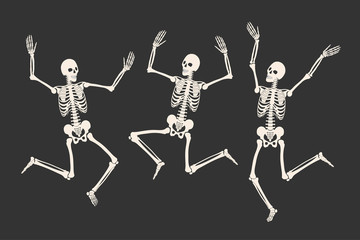 Dancing human skeletons. Happy Halloween. White skeleton silhouettes isolated on black background. Vector illustration