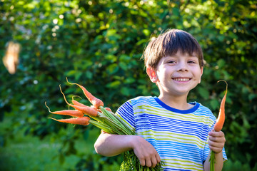 little boy has a carrot in his hand, looks with his finger on carrot, healthy food concept, facial emotions positive, in orange T-shirt, isolated blue background, copy space