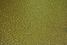 Natural Yellow Texture Of Water With Waves On The Pond