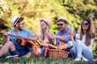 © ivanko80 - Group of friends on picnic with guitar