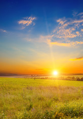 Wall Mural - Wide landscape green field and sunset