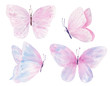 Butterflies hand drawn watercolor raster illustrations set