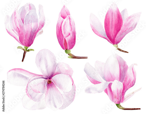 Floral hand drawn watercolor raster illustrations set