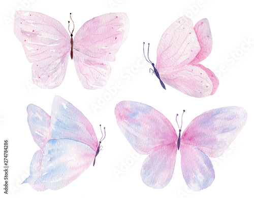 Butterflies hand drawn watercolor raster illustrations set