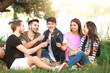 © Pixel-Shot - Happy friends with sparklers on picnic in park