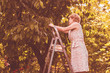 © Mihail - happy female gardener picks and collects new season harvest from the tree standing on the ladder