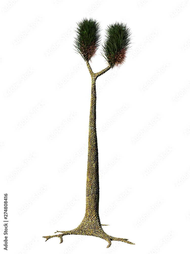 Sigillaria, tree-like extinct plant from the Carboniferous and Permian  period isolated on white background (3d science illustration) Stock  Illustration | Adobe Stock