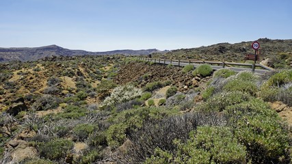 Poster - curvy serpentine roads on teide volcano