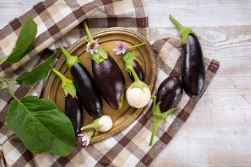 Wall Mural - Fresh local eggplants on platter top view