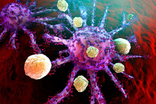 T-Cells Of The Immune System Attacking Growing Cancer Cells