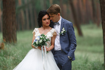 beautiful wedding couple at a walk in the park.Wedding in the summer in the park.. gentle hugs brides outdoors .bride and groom kissing in the green garden.wedding day.Sincere Loving Wedding Couple.