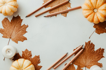 Wall Mural - Autumn flat lay with small pumpkins, fall maple leaves and wooden pencils. The concept of september and school, mockup, copy space