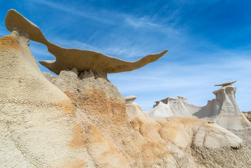 Wall Mural - The Wings rock formation in Bisti Wilderness area, New Mexico, USA