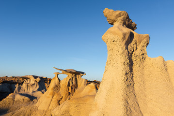 Wall Mural - The Wings rock formation at sunrise, Bisti/De-Na-Zin Wilderness Area, New Mexico, USA