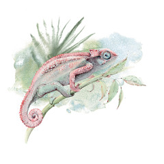 watercolor chameleon lizard card