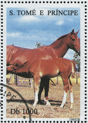 Sticker - Sao Tome and Principe beautiful horse