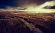 © Duncan Andison - The stone path winding it's way through Blea Moor to the summit of Whernside in the Yorkshire Dales.