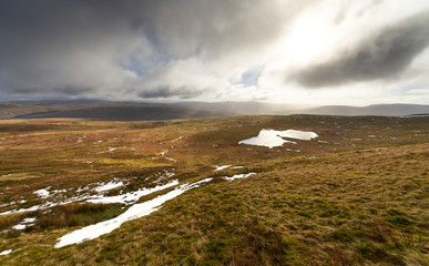 Wall Mural - Blea Moors below the summit of Whernside, part of the Three Peaks in the Yorkshire Dales.