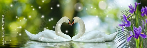 Cuadros en Lienzo image of swans on the water and flowers closeup