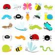 Insect icon set. Lady bug Mosquito Butterfly Bee Grasshopper Beetle Caterpillar Spider Cockroach Fly Snail Dragonfly Ant Lady bird Worm. Cute cartoon kawaii funny doodle character. Flat design.