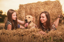 Two Beautiful Girls In Denim Shorts And Plaid Shirts With A Retriever And A Guitar Pose Against The Background Of A Wheat Field, Haystacks And Summer Sunset Sky