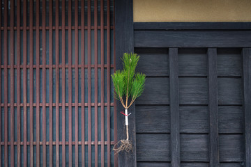 Wall Mural - 京都の正月飾り 根引松