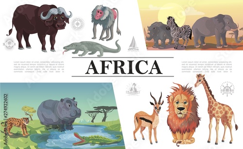 Cartoon African Animals Composition