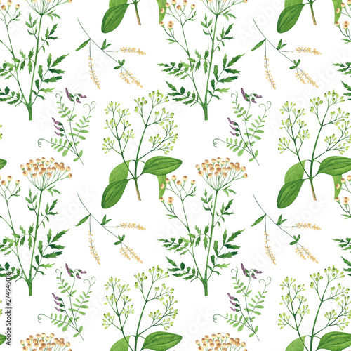 Seamless pattern of culinary and medicinal herbs. Watercolor botanical illust...