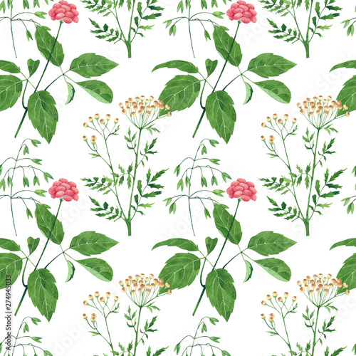 Seamless pattern of culinary and medicinal herbs. Watercolor botanical illust...