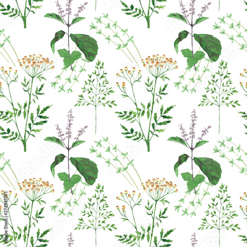 Seamless pattern of culinary and medicinal herbs. Watercolor botanical illust...