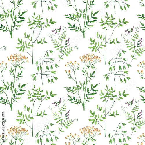 Seamless pattern of culinary and medicinal herbs. Watercolor botanical illust...